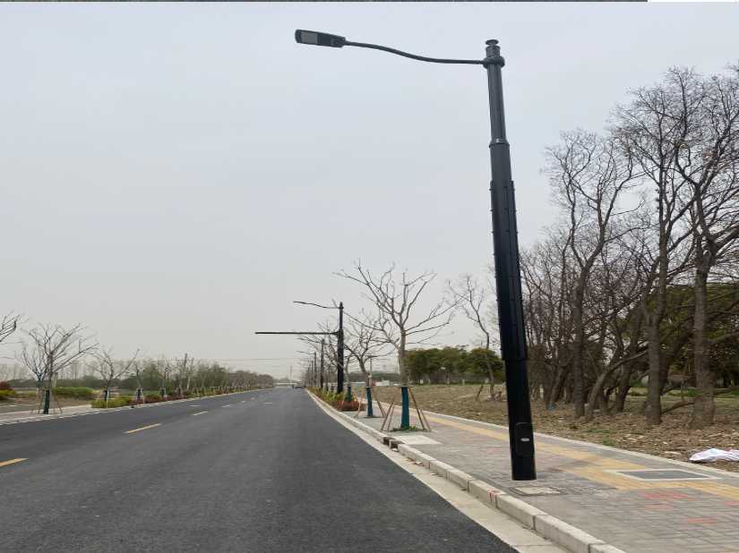 青云谱区上海综合杆 太阳能路灯工程